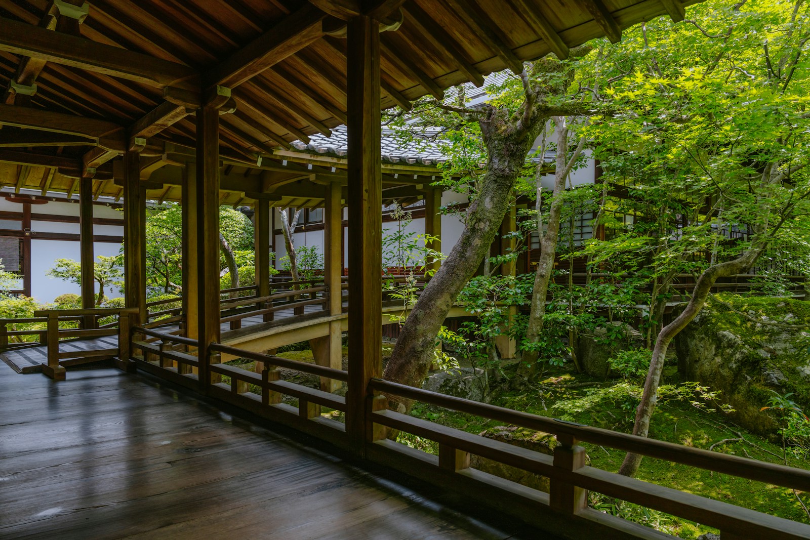 Hành lang gỗ Nhật Bản nhìn ra vườn xanh tươi Kyoto