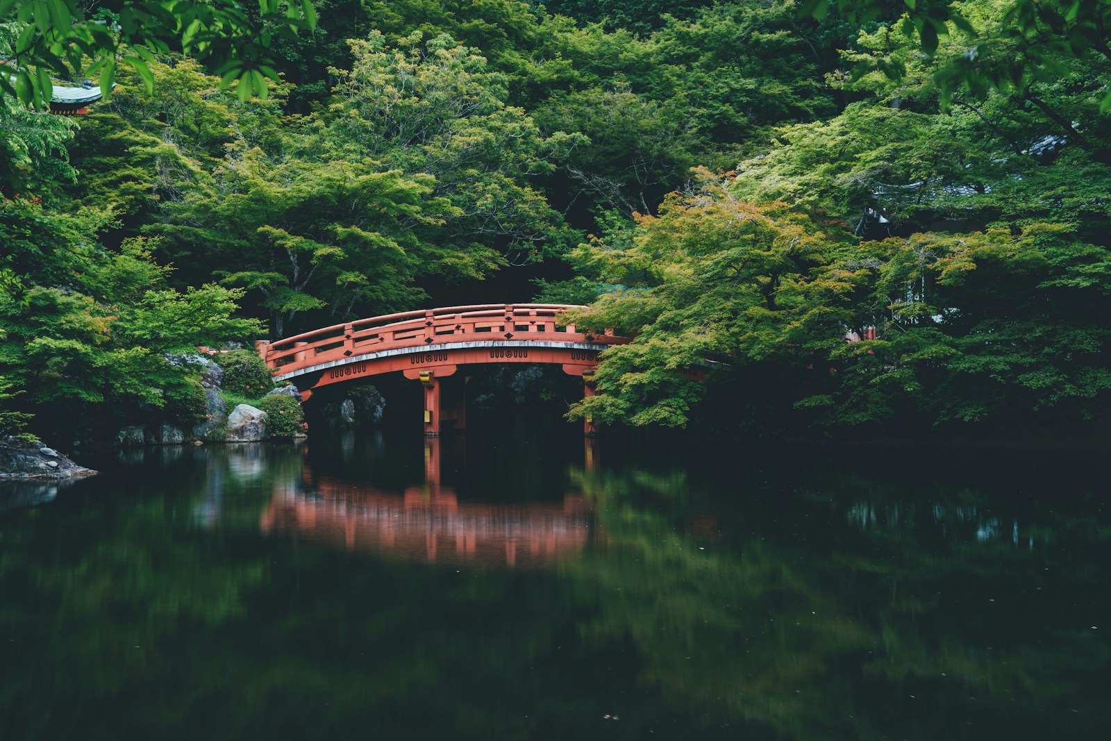 Kenroku-en Kanazawa mùa đông yukitsuri tuyết phủ