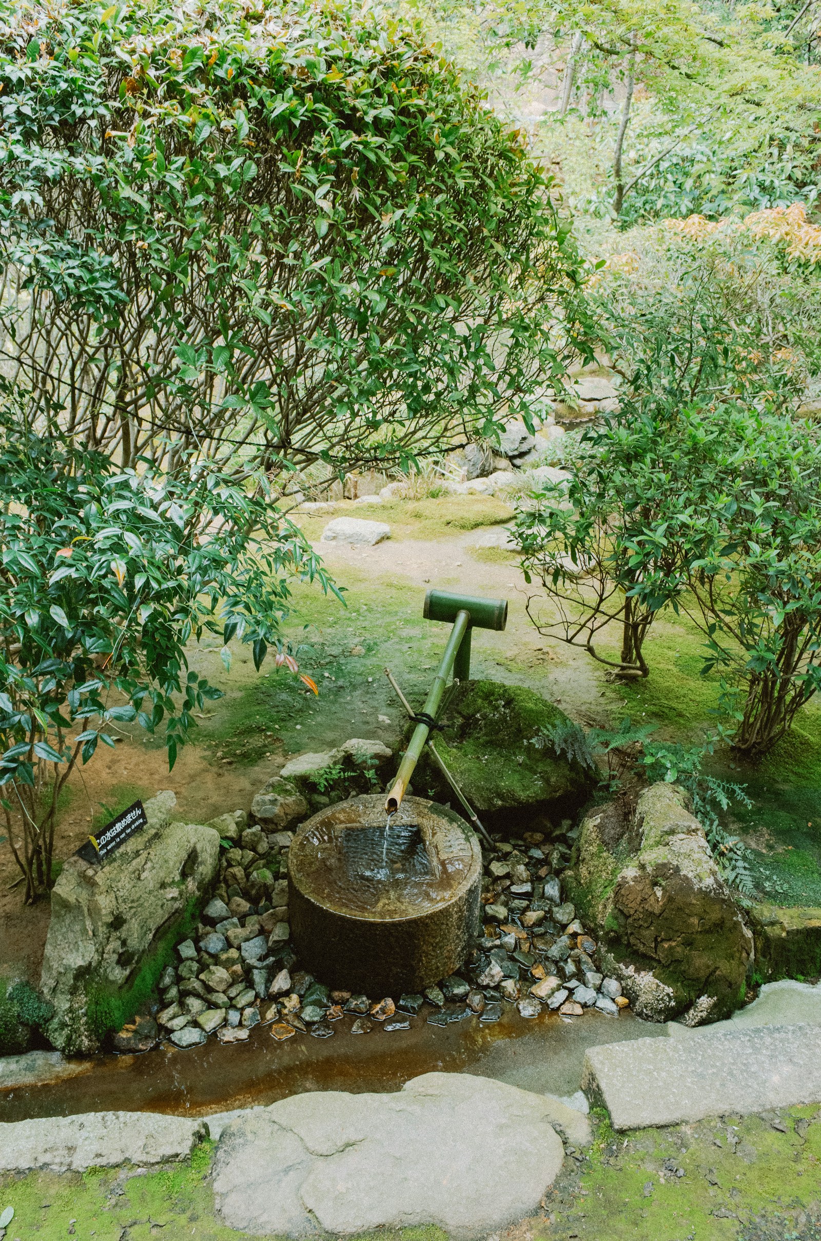 Vòi nước tre truyền thống trong vườn trà Kyoto Nhật Bản