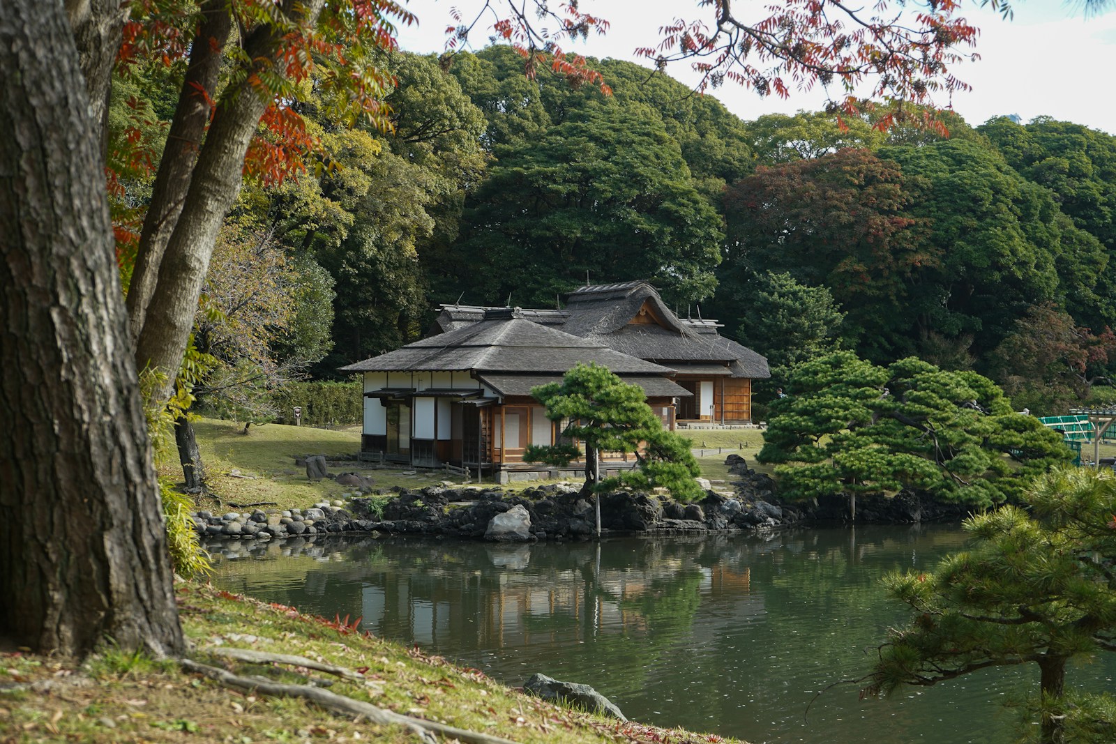 Hamarikyu vuon bien lich su